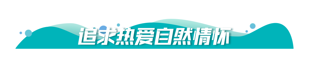 bob电竞保护生态环境牢记习提出的“五个追求”(图9)