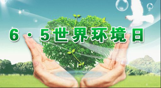 个世界环境日：践行bob电竞绿色生活