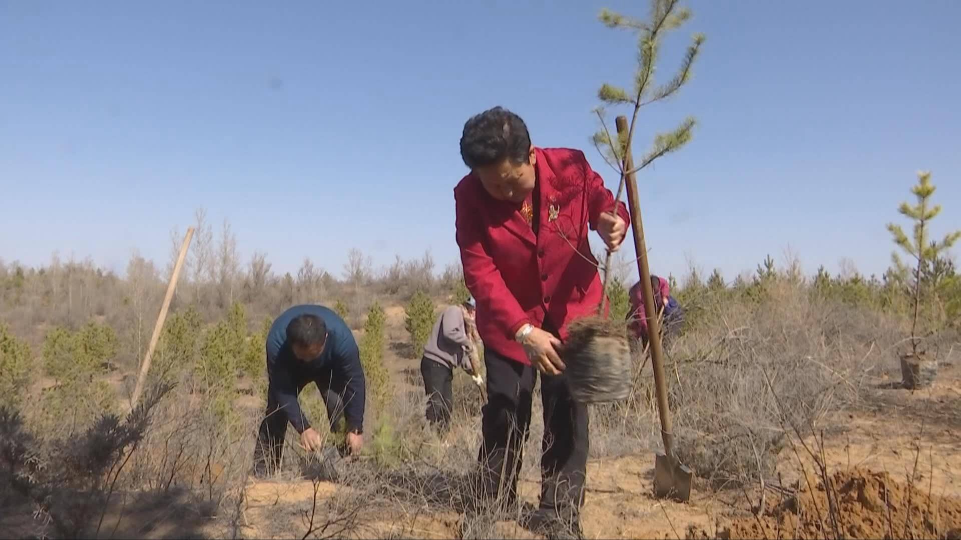 bob电竞「冲刺2023高考作文01」“生态实践美丽中国”素材精选附范文(图7)