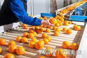 图盈永盛：可持续性发展对环境保护的重要意义bob电竞(图2)