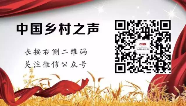 举报、维权、服务：超实用各类电话号码大全你一定会用得到！bob电竞(图2)
